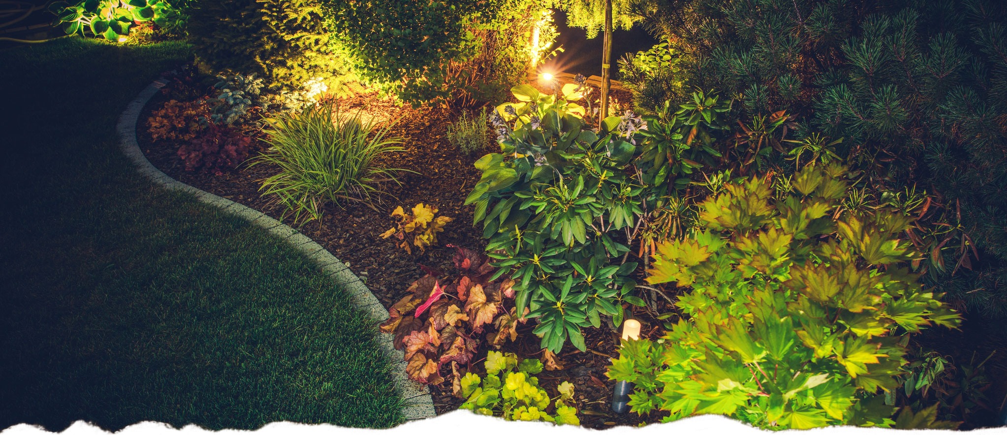 Desert Plants Landscape Installation & Maintenance La Hacienda